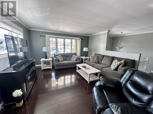 21 Ireland Drive, Grand Falls-Windsor, NL - Indoor Photo Showing Living Room