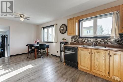 59 Powell Drive, Carbonear, NL - Indoor Photo Showing Kitchen With Double Sink