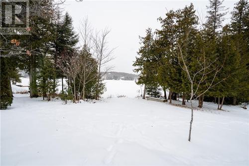 99 Waldenwood Road, Whitefish, ON - Outdoor With View