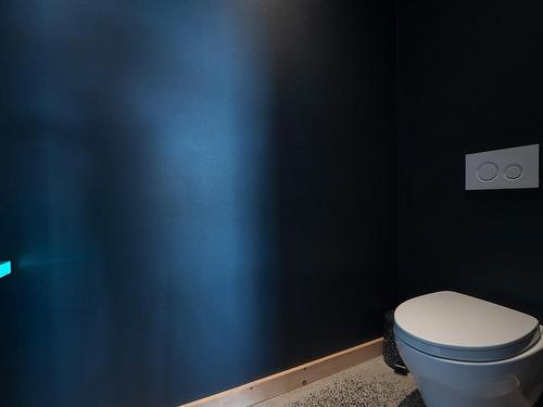 Powder room - 29 Place Beaulac, Sainte-Agathe-Des-Monts, QC - Indoor Photo Showing Bathroom
