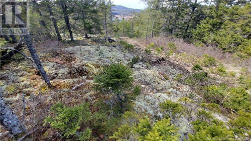 Lot 13 Eagles Passage, Chamcook, NB 