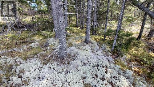 Lot 13 Eagles Passage, Chamcook, NB 