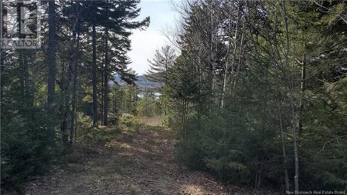 Lot 13 Eagles Passage, Chamcook, NB 