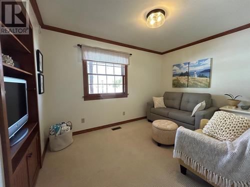 300 Grenfell Heights, Grand Falls-Windsor, NL - Indoor Photo Showing Living Room