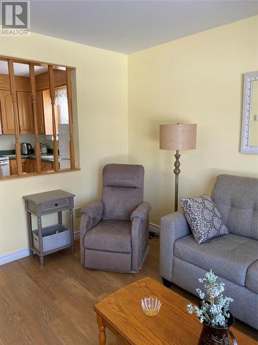 300 Grenfell Heights, Grand Falls-Windsor, NL - Indoor Photo Showing Living Room