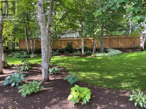 300 Grenfell Heights, Grand Falls-Windsor, NL - Outdoor With Backyard