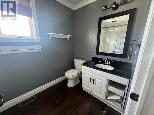 14 Pelley Drive, Springdale, NL - Indoor Photo Showing Bathroom