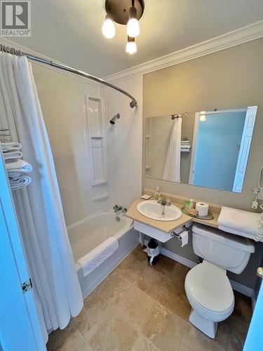 11 Main Street, St. Brides, NL - Indoor Photo Showing Bathroom