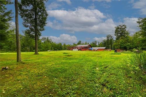 7806 Concession 3 Road N, Smithville, ON 