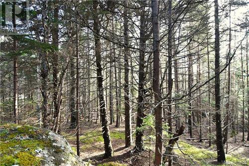 Lot 85-157 Harbour Heights Drive, Welshpool, NB 