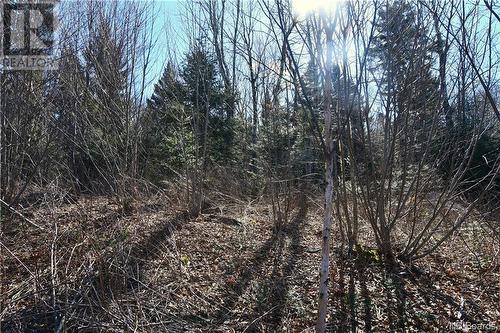 Lot 88-109 Bunker Hill Road, Wilsons Beach, NB 