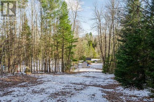 1008 Hush Drive, Highlands East, ON - Outdoor With View