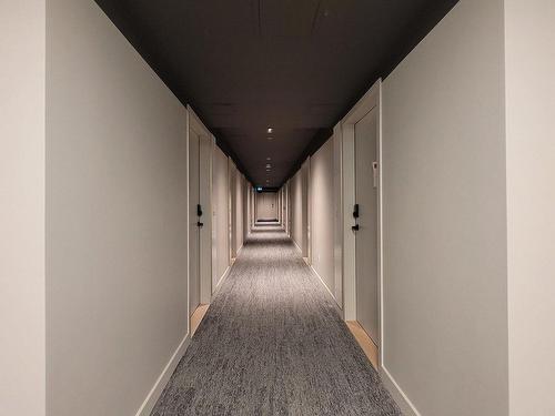 Corridor - 2918-1210 Rue Jeanne-Mance, Montréal (Ville-Marie), QC - Indoor Photo Showing Other Room