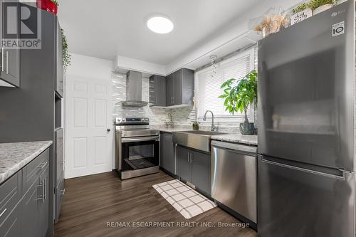 62 Richmond Street, Thorold, ON - Indoor Photo Showing Kitchen With Upgraded Kitchen