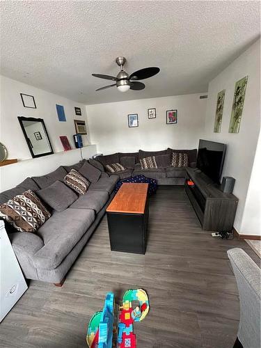 2 1237 Assiniboine Avenue, Brandon, MB - Indoor Photo Showing Living Room