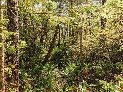 Lot 4 Hawkes Rd, Ucluelet, BC 