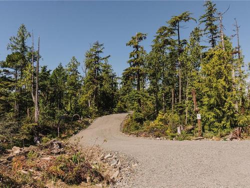 Lot 4 Hawkes Rd, Ucluelet, BC 