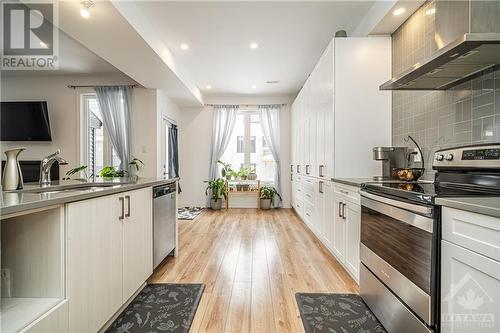 99 Dun Skipper Drive, Ottawa, ON - Indoor Photo Showing Kitchen With Upgraded Kitchen