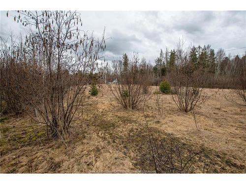 Lot 84-2 New Scotland Rd, New Scotland, NB 