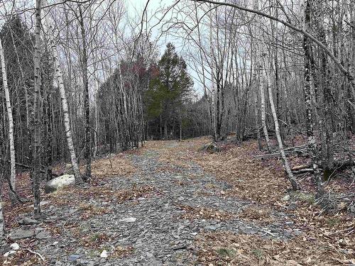 Lot 30 Maplesue Point Drive, Molega, NS 