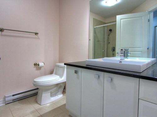 Bathroom - 512-1180 Ch. D'Aylmer, Gatineau (Aylmer), QC - Indoor Photo Showing Bathroom