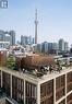 #306 -123 Portland St, Toronto, ON  - Outdoor With View 