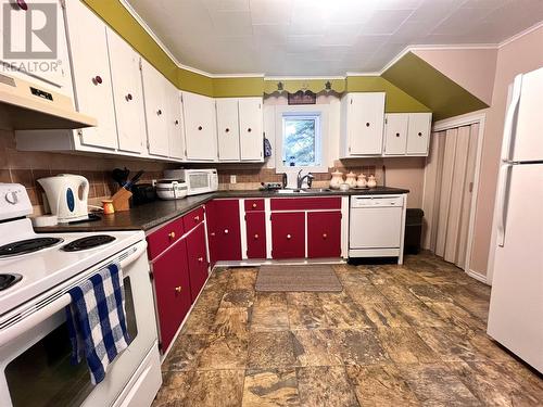 255 Main Road, Sunnyside, NL - Indoor Photo Showing Kitchen With Double Sink