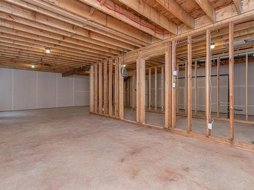 4019 Otters Close, Duncan, BC - Indoor Photo Showing Basement