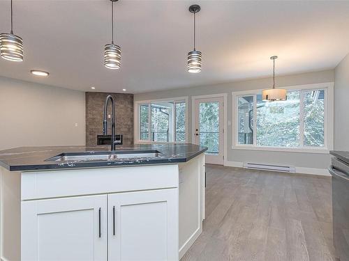 4019 Otters Close, Duncan, BC - Indoor Photo Showing Kitchen With Double Sink
