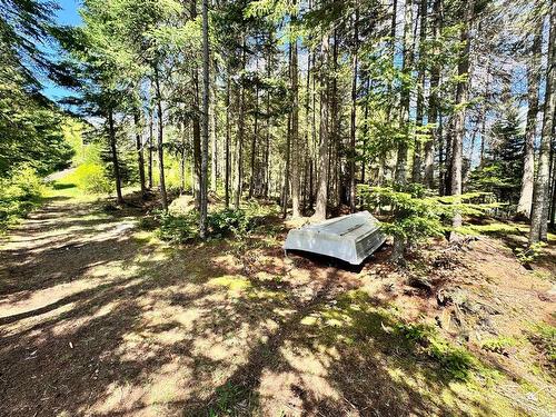 Waterfront - 3248 Ch. Du Lac-Des-Trois-Frères, Saint-Adolphe-D'Howard, QC - Outdoor With Body Of Water
