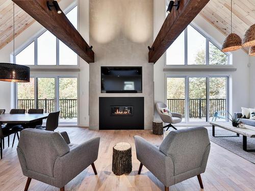 Vue d'ensemble - 60 Rue Louis-Xiv, Saint-Côme, QC - Indoor Photo Showing Living Room With Fireplace