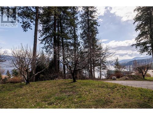 18 Killarney Place, Vernon, BC - Outdoor With View
