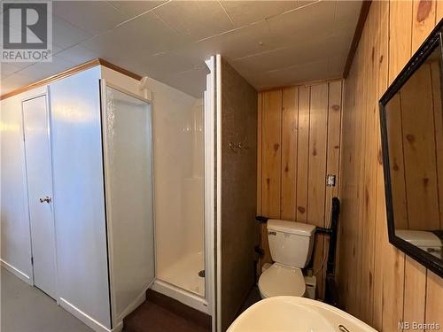 15 Mcelroy Road, Beechwood, NB - Indoor Photo Showing Bathroom