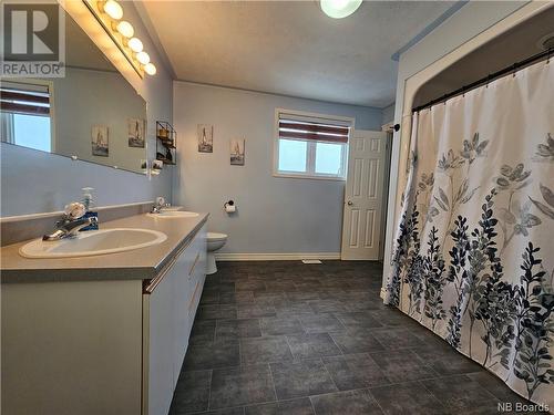 86 Bards Road, Dsl De Drummond/Dsl Of Drummond, NB - Indoor Photo Showing Bathroom