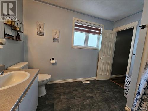86 Bards Road, Dsl De Drummond/Dsl Of Drummond, NB - Indoor Photo Showing Bathroom