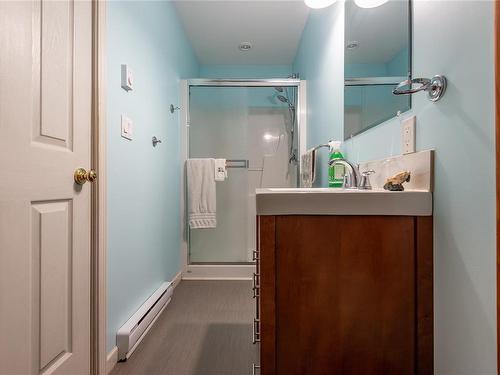 488 Cape Mudge Rd, Quadra Island, BC - Indoor Photo Showing Bathroom