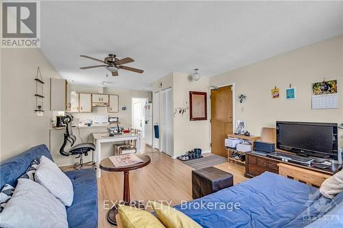 358 Winston Avenue, Ottawa, ON - Indoor Photo Showing Living Room