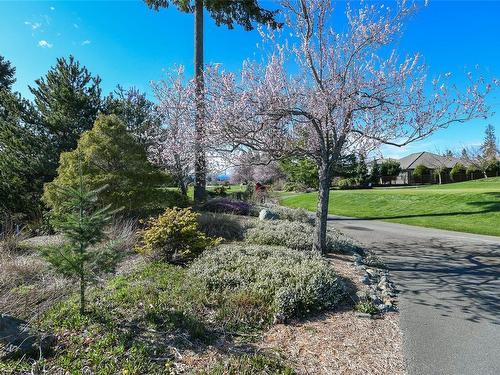 27-3100 Kensington Cres, Courtenay, BC - Outdoor With View