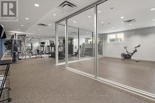 202 - 16 Markle Crescent, Hamilton, ON - Indoor Photo Showing Gym Room