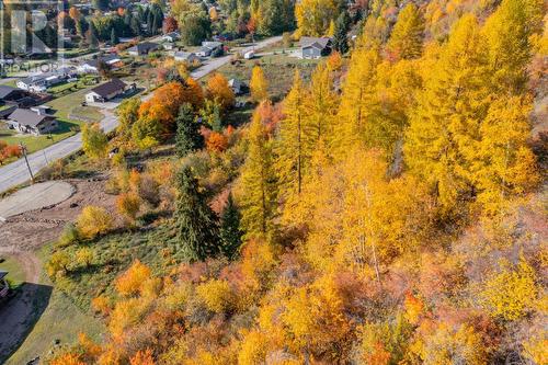 Lot B Robson Access  Road, Castlegar, BC 