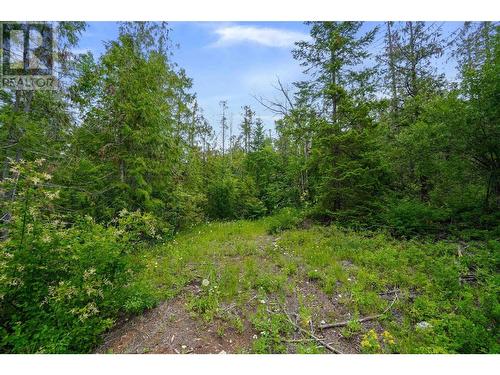 Ph 3 Tatlow Road Se Lot# Lot 4, Salmon Arm, BC 