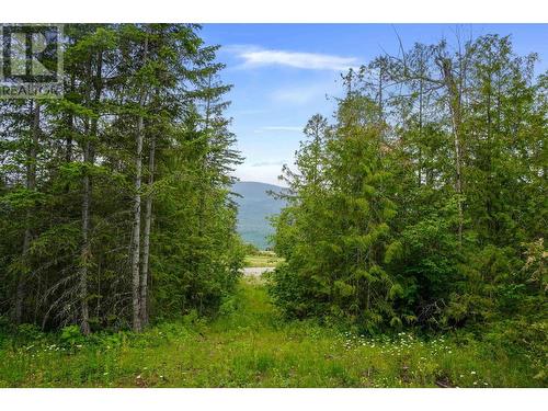 Ph 3 Tatlow Road Se Lot# Lot 4, Salmon Arm, BC 