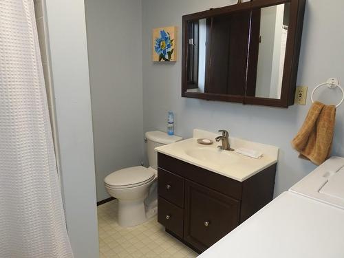 521 Whitevale Road, Lumby, BC - Indoor Photo Showing Bathroom