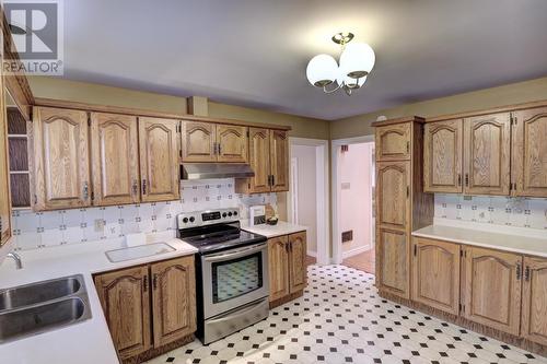 14 Tracey Place, St. John'S, NL - Indoor Photo Showing Kitchen With Double Sink