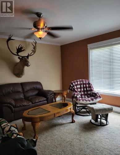 13 Mill Street, Embree, NL - Indoor Photo Showing Living Room