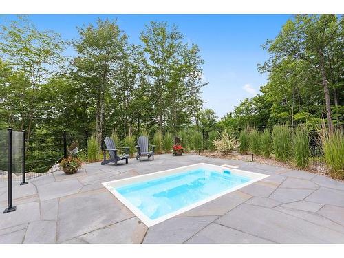 Piscine - 170 Rue Lavigne, Mont-Tremblant, QC - Outdoor With In Ground Pool With Backyard