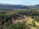 6429 Fitzgerald Rd, Merville, BC  - Outdoor With View 