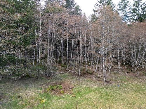 6429 Fitzgerald Rd, Merville, BC - Outdoor With View