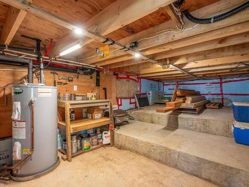 22 Captain Kidds Terr, Protection Island, BC - Indoor Photo Showing Basement