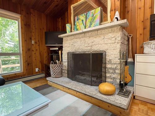 Lot 2 Little Echo Bay, Kenora, ON - Indoor Photo Showing Living Room With Fireplace
